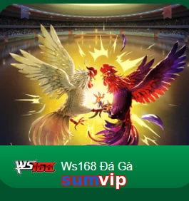 sumvip